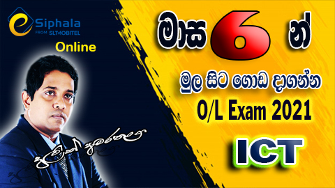 Grade 11 - 2021 O/L Exam | eSiphala.lk - Sri Lanka's Largest Online Sns-Brigh10